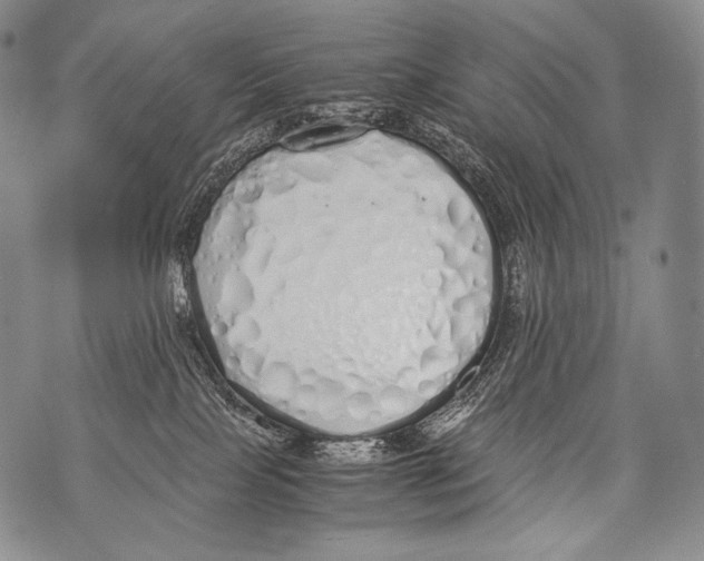 X0000071840089200607290118