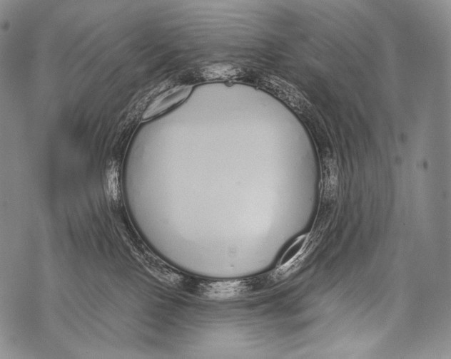 X0000071840090200607290118