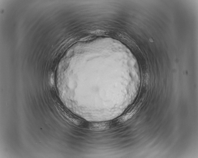 X0000071840095200607290118