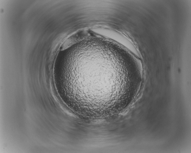 X0000071840097200607290117
