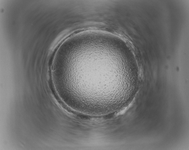 X0000071840101200607290117