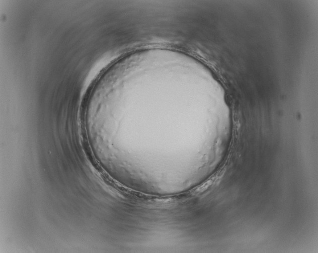X0000071840102200607290117