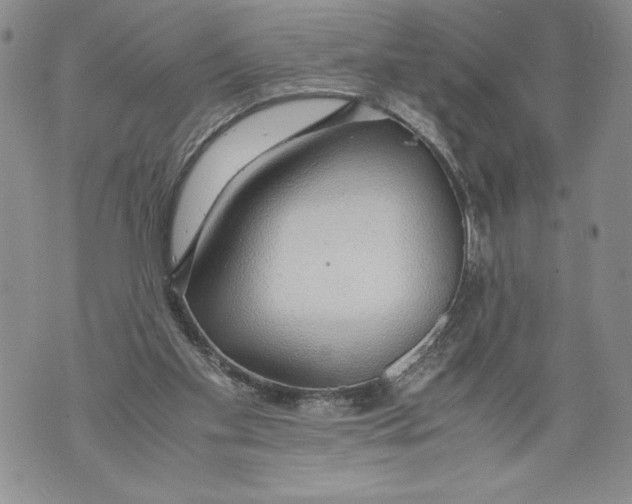 X0000071840109200607290117