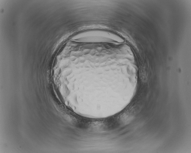 X0000071840111200607290117