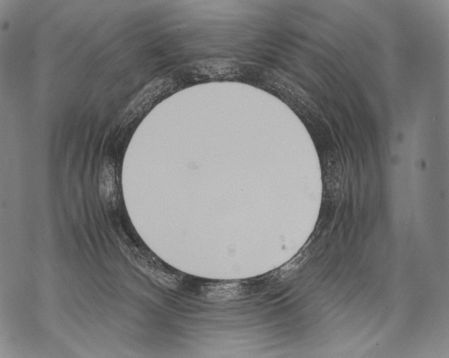 X0000071840132200607290117