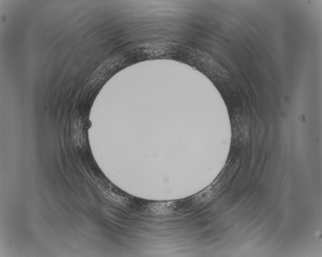 X0000071840136200607290117