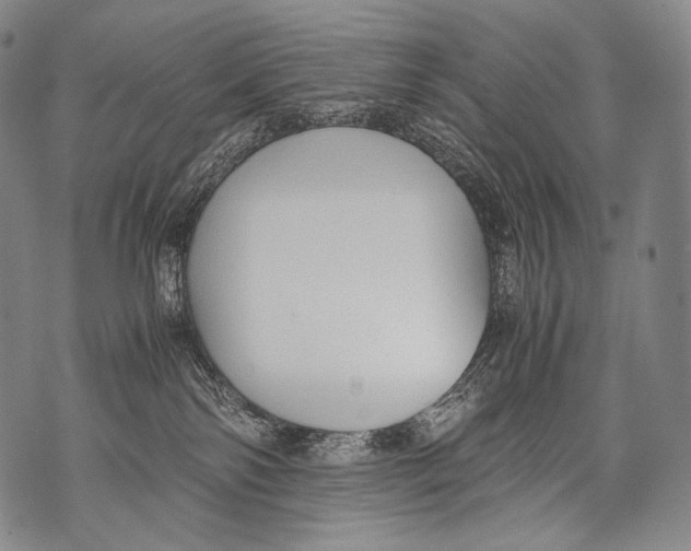 X0000071840138200607290117