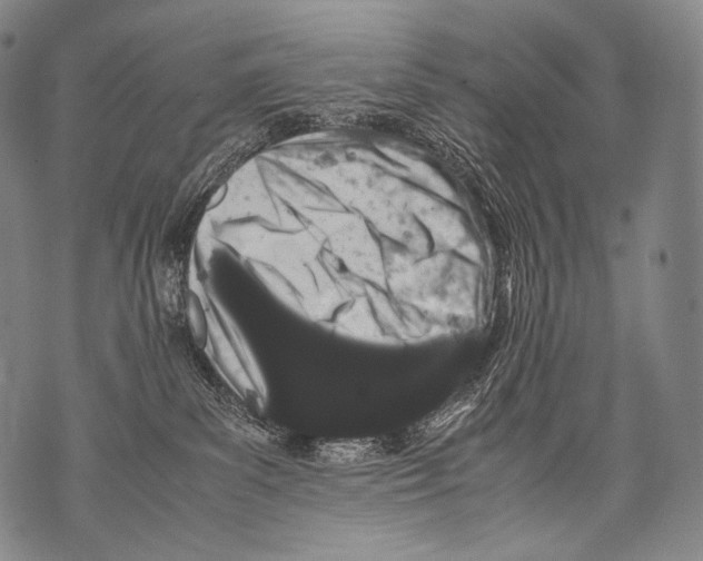 X0000071840139200607290117