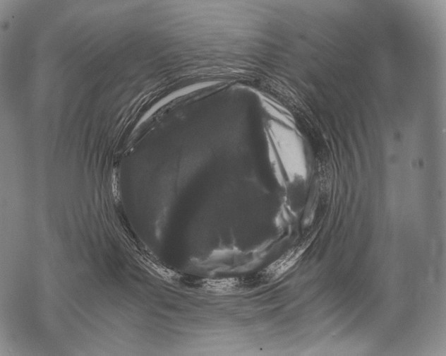 X0000071840143200607290117