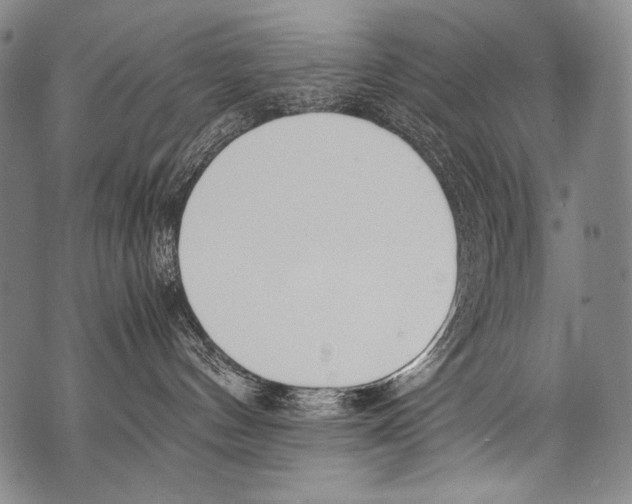 X0000071840144200607290117