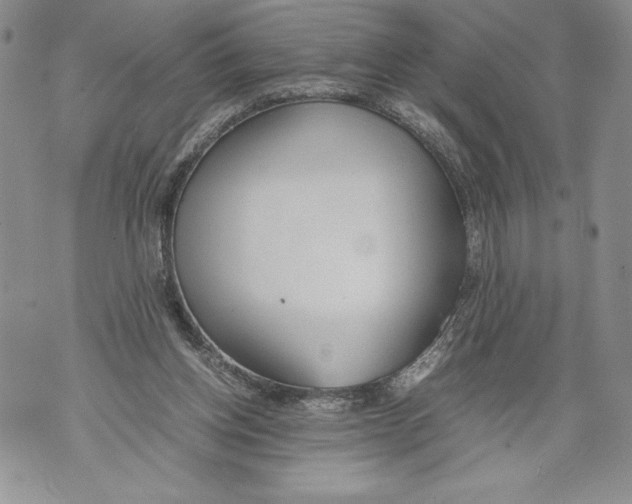 X0000071840158200607290116
