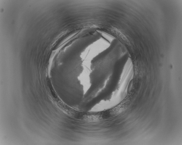 X0000071840163200607290116