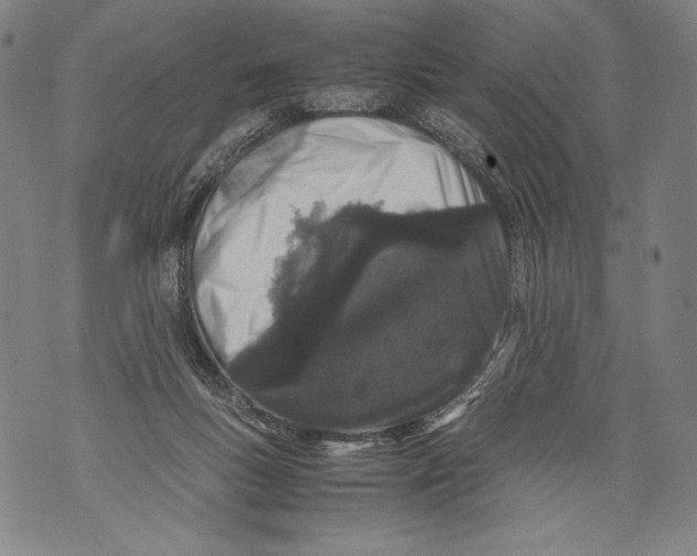 X0000071840167200607290116