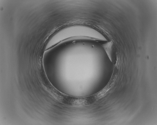 X0000071840168200607290116