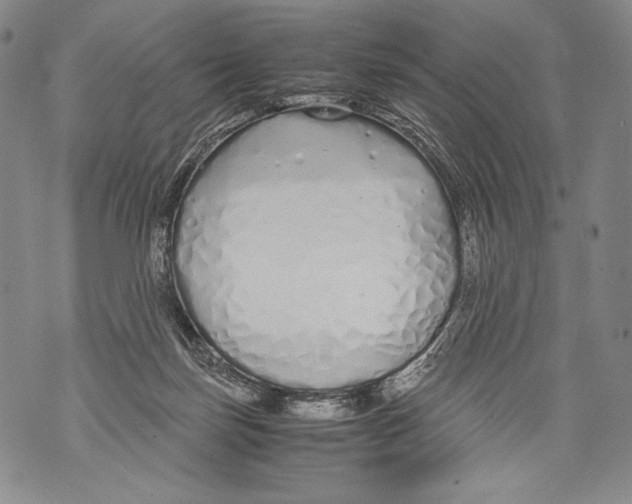 X0000071840171200607290116