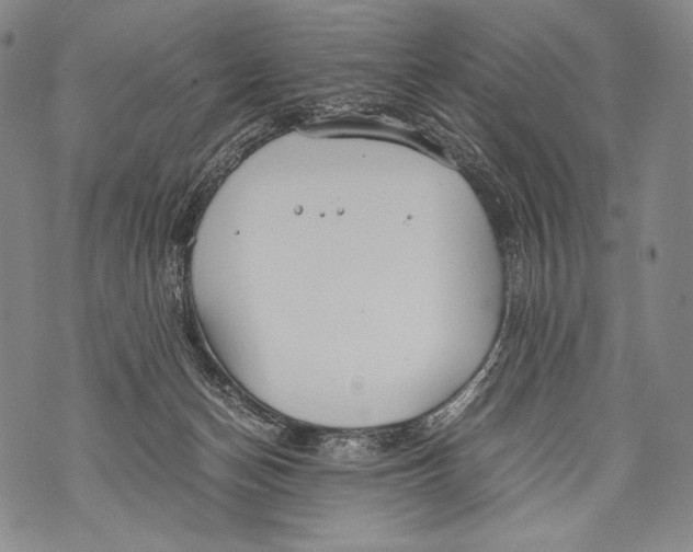 X0000071840174200607290116