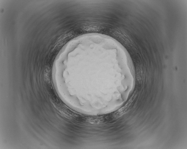 X0000071840175200607290116
