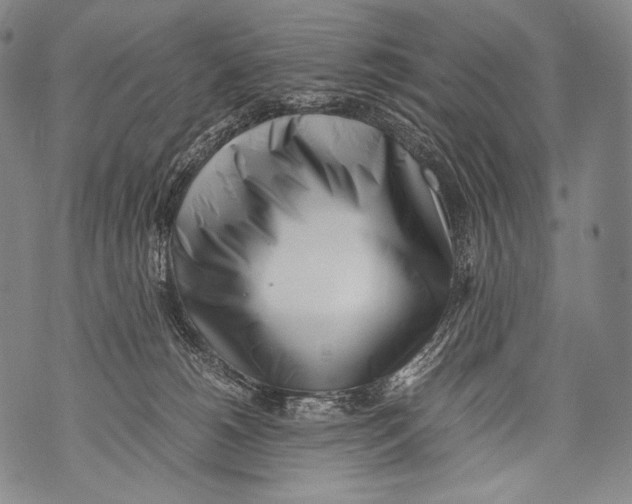 X0000071840180200607290116