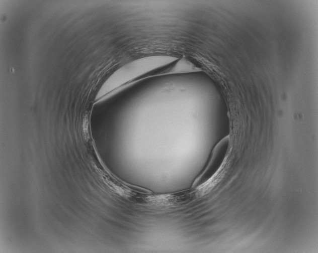 X0000071840192200607290117