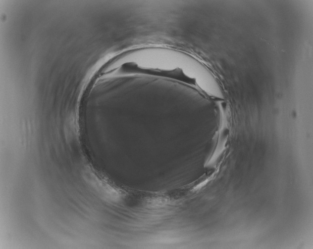 X0000071840200200607290116