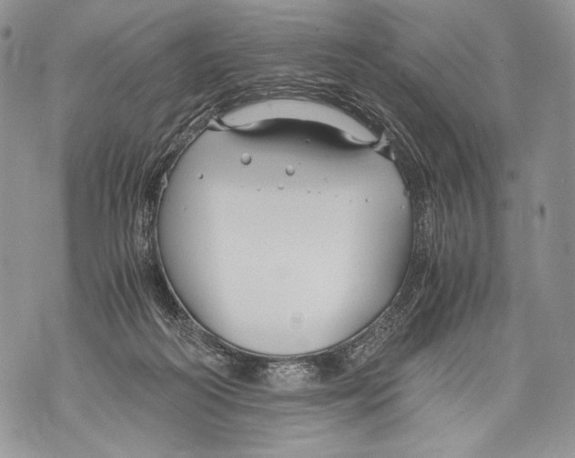 X0000071840218200607290115