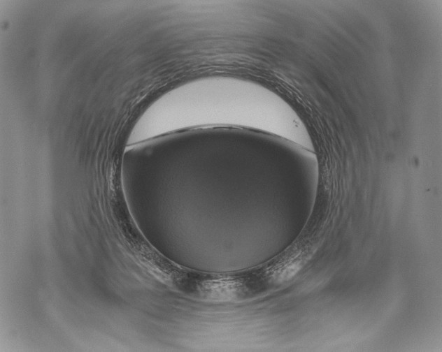 X0000071840219200607290115