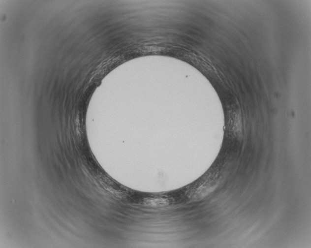 X0000071840220200607290115