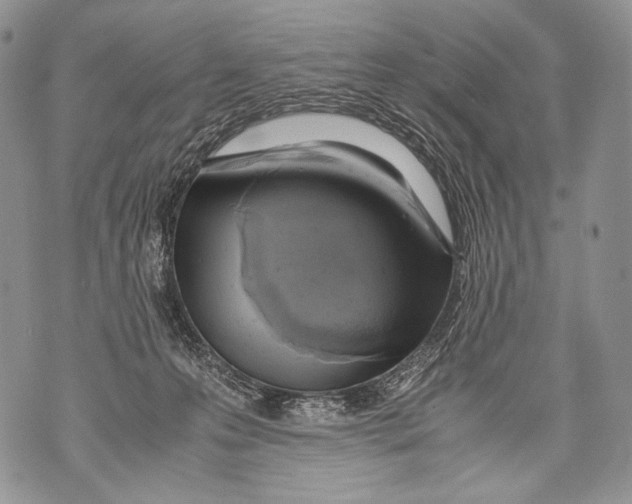 X0000071840223200607290115