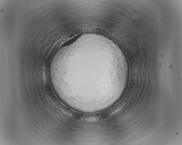 X0000071840228200607290115