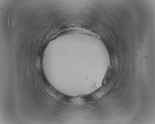 X0000071840231200607290115