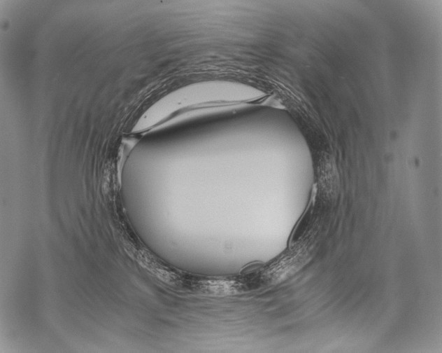 X0000071840233200607290115