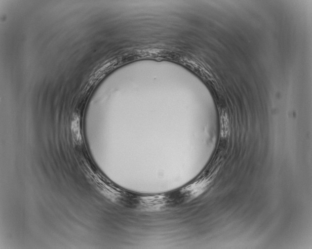 X0000071840238200607290115