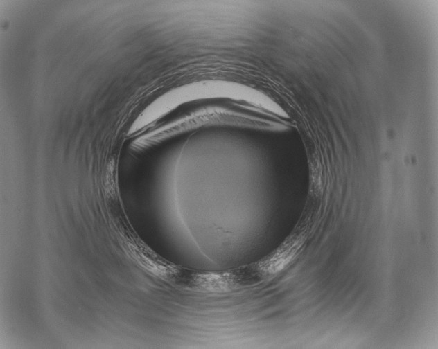 X0000071840239200607290115