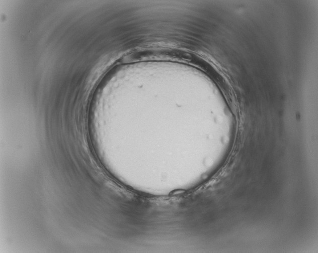 X0000071840241200607290114