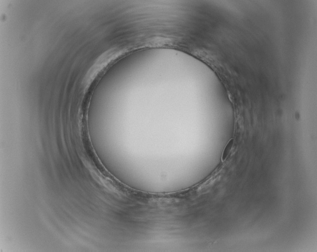 X0000071840242200607290114