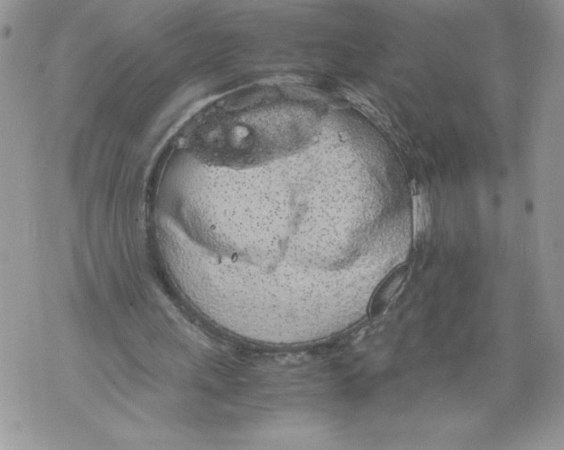 X0000071840243200607290114