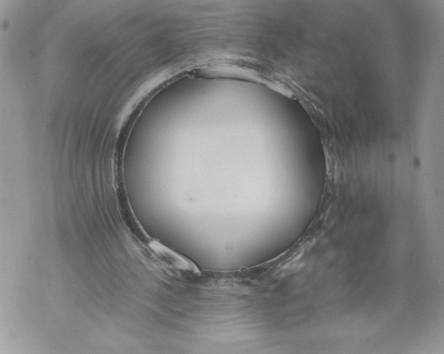 X0000071840244200607290114