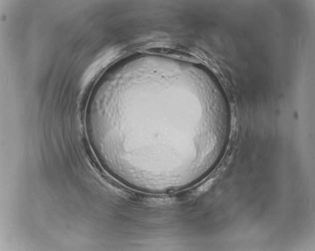 X0000071840245200607290114