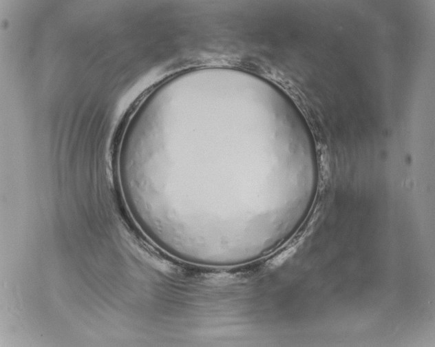 X0000071840246200607290114