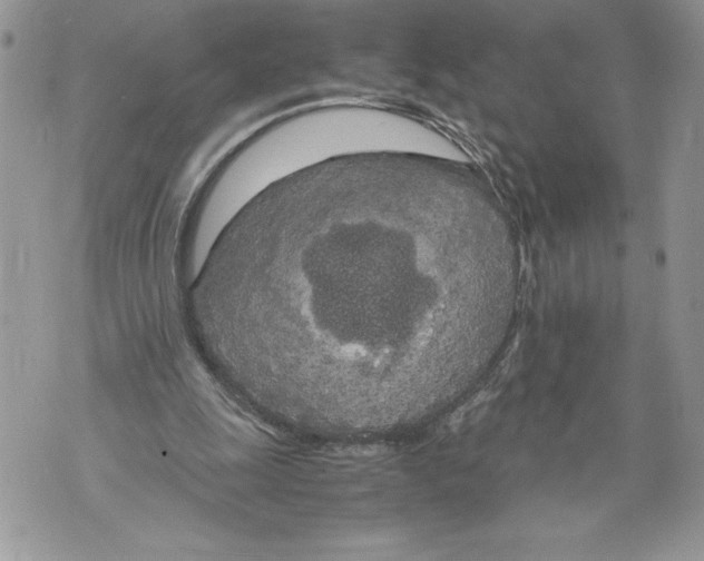 X0000071840247200607290114