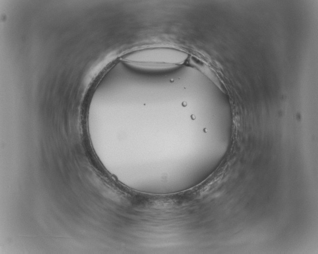 X0000071840248200607290114