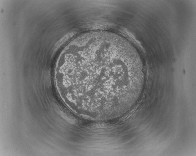 X0000071840250200607290114