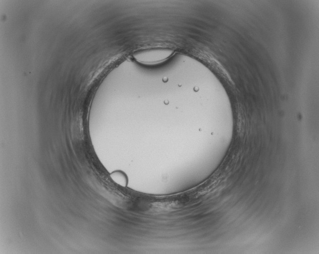 X0000071840251200607290115