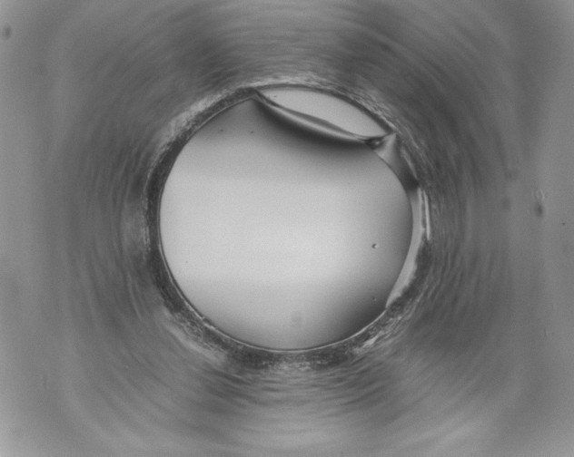 X0000071840252200607290115