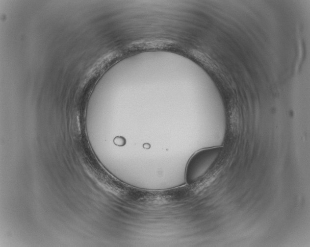 X0000071840254200607290115