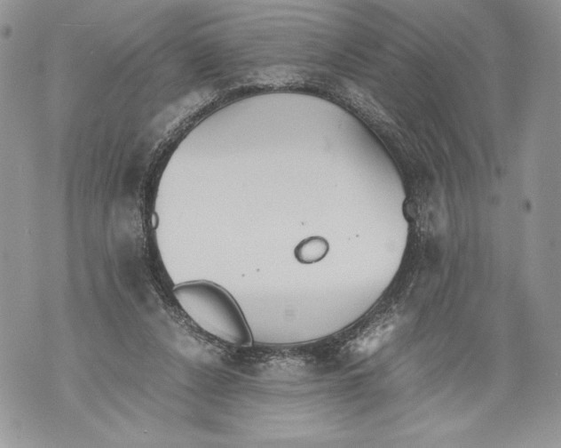 X0000071840256200607290115