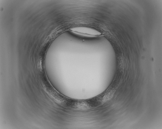 X0000071840262200607290115