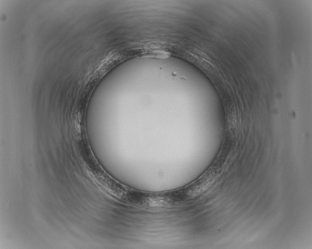 X0000071840264200607290115