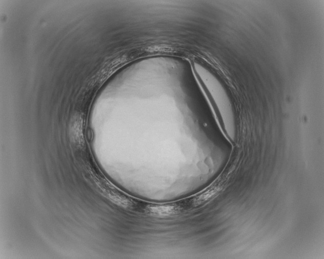 X0000071840265200607290115