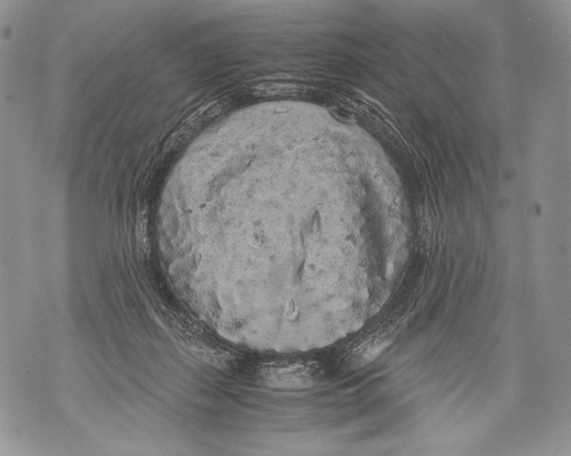 X0000071840267200607290115